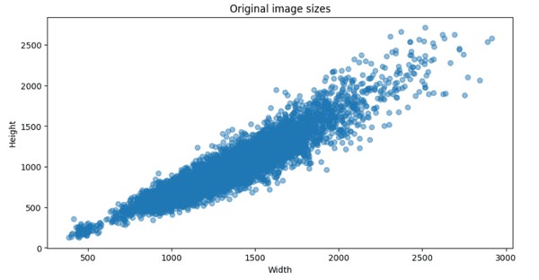 Code and output for the image resizing function