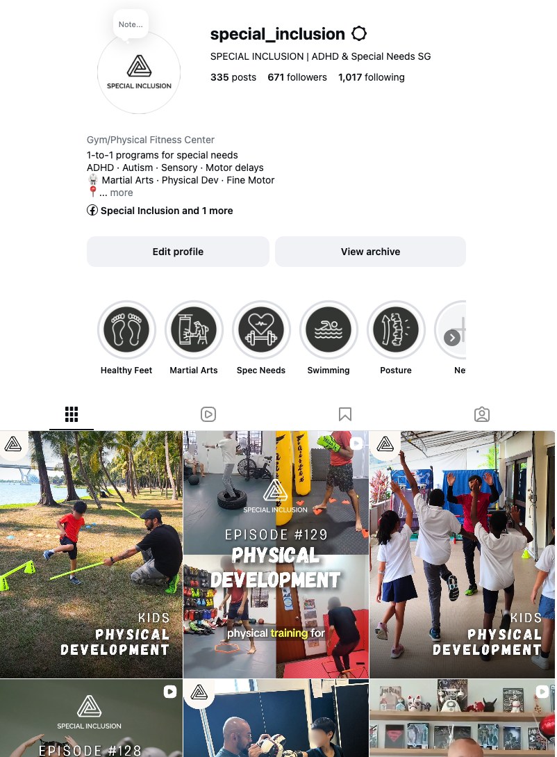 The Special Inclusion Instagram grid
